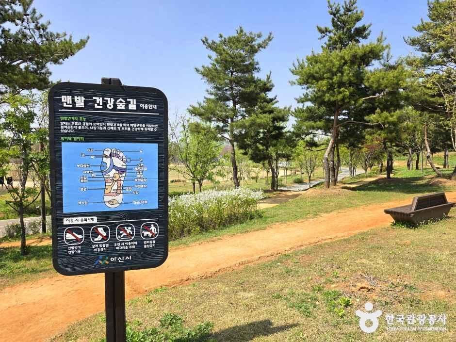 아산문화공원 여행 추천 - 로드트립