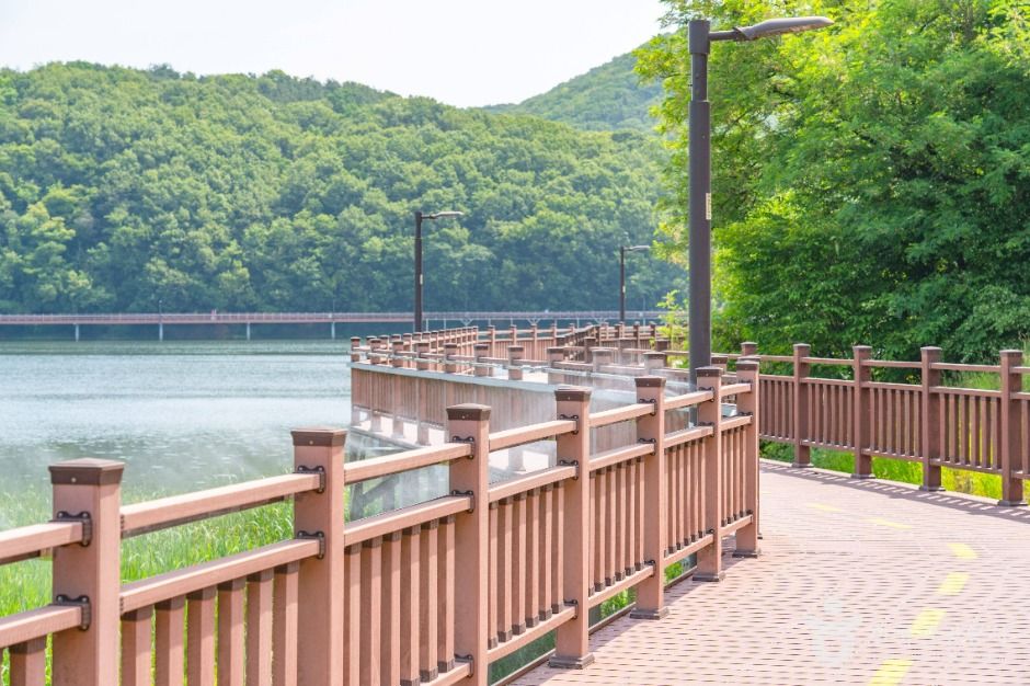 백운호수 생태탐방로 여행 추천 - 로드트립