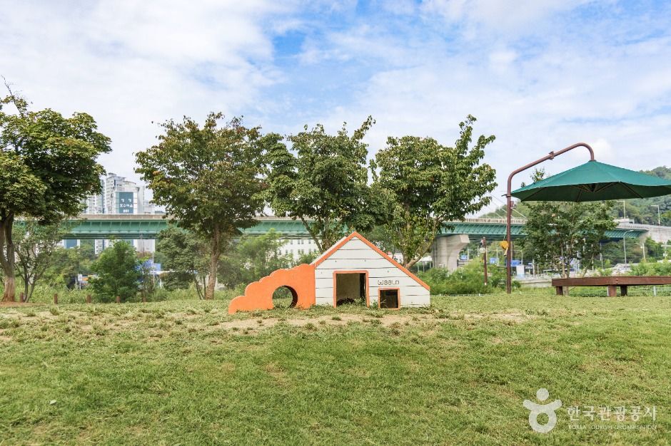 기흥레스피아호수공원 반려동물놀이터 여행 추천 - 로드트립