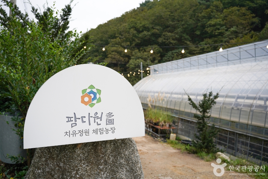 팜다원 여행 추천 - 로드트립