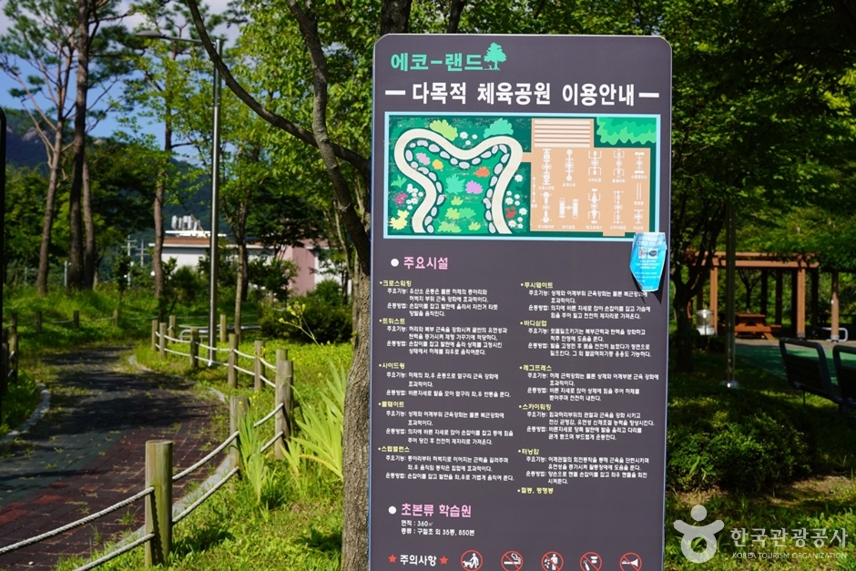 에코랜드 여행 추천 - 로드트립