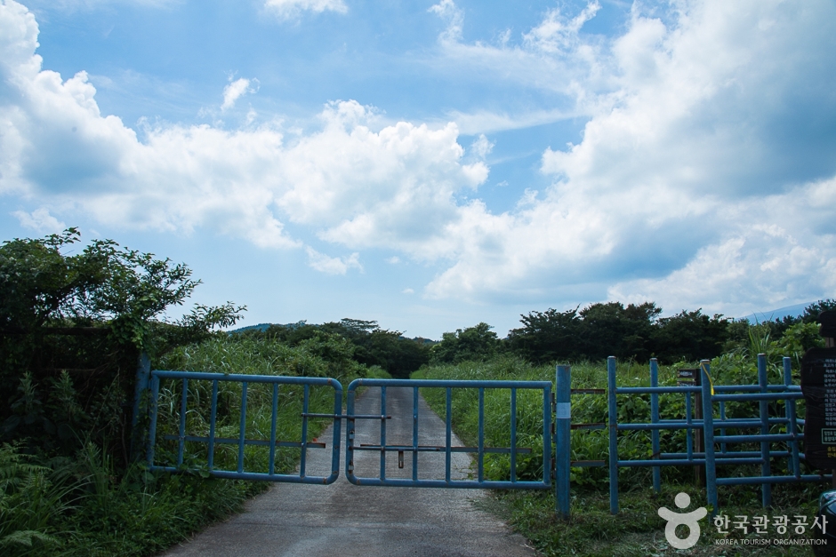 수망리 마흐니숲길 여행 추천 - 로드트립
