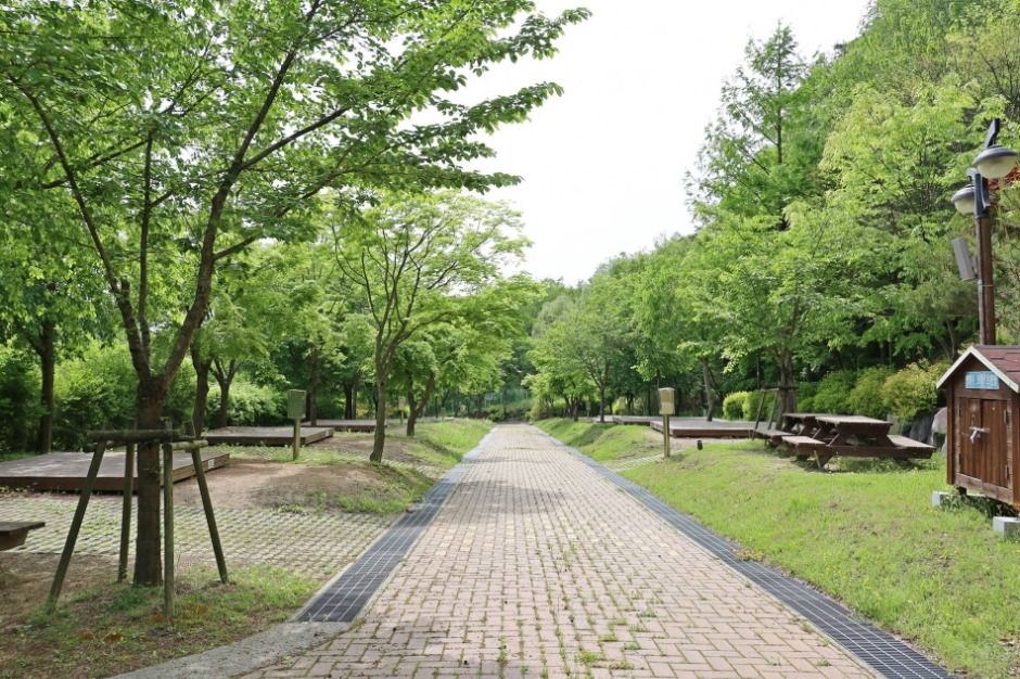 팔공산국립공원 도학야영장 여행 추천 - 로드트립