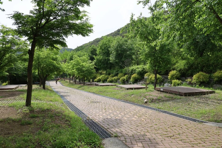 팔공산국립공원 도학야영장 여행 추천 - 로드트립