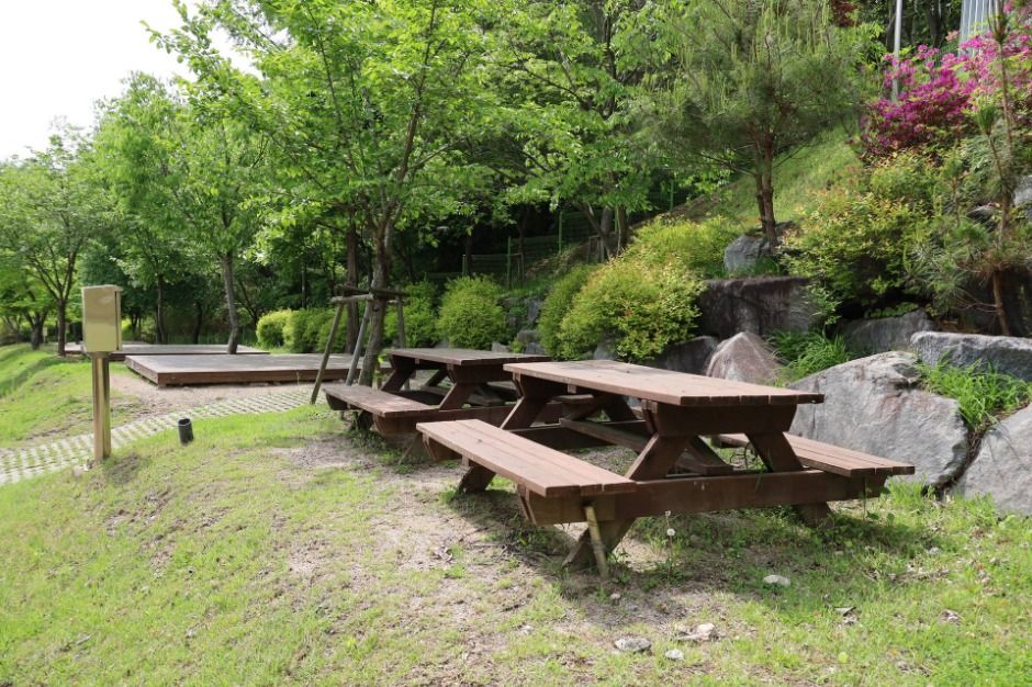 팔공산국립공원 도학야영장 여행 추천 - 로드트립