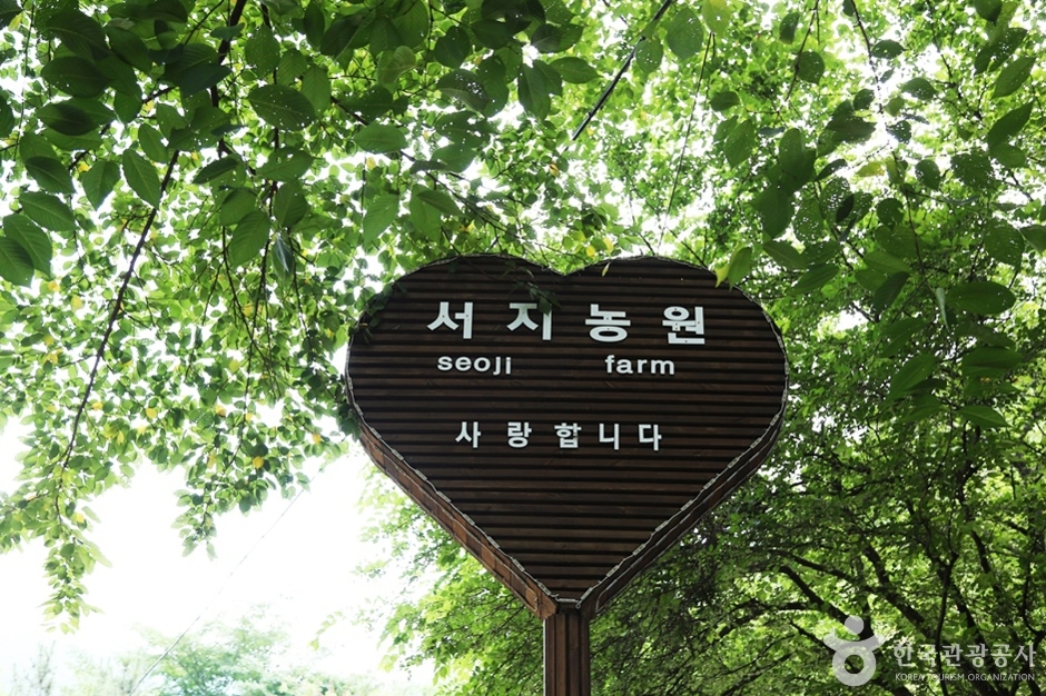 서지관광농원 여행 추천 - 로드트립