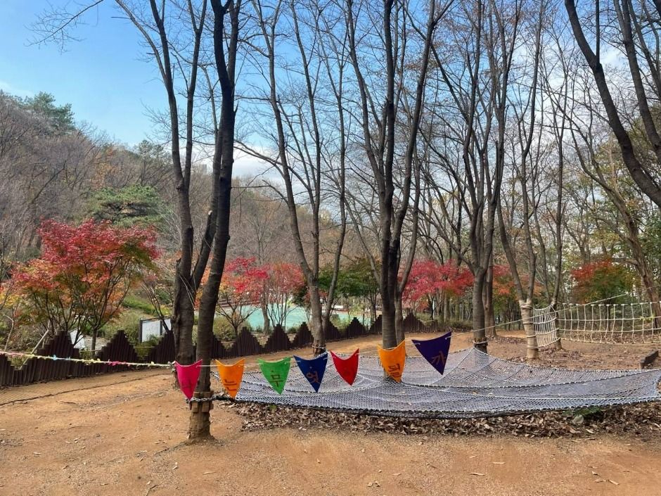 청사초롱 유아숲체험원 여행 추천 - 로드트립