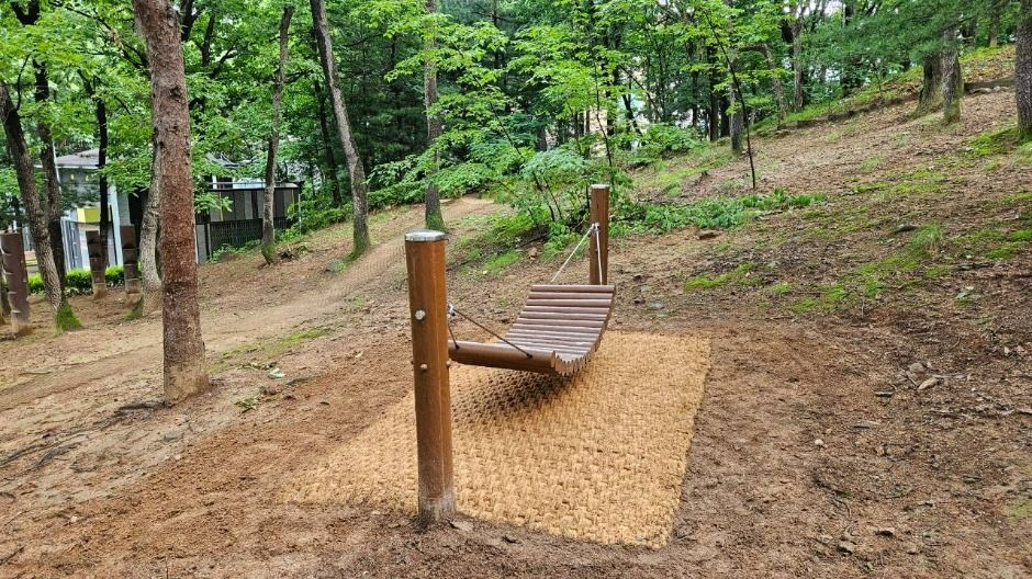 오목문화 유아숲체험원 여행 추천 - 로드트립