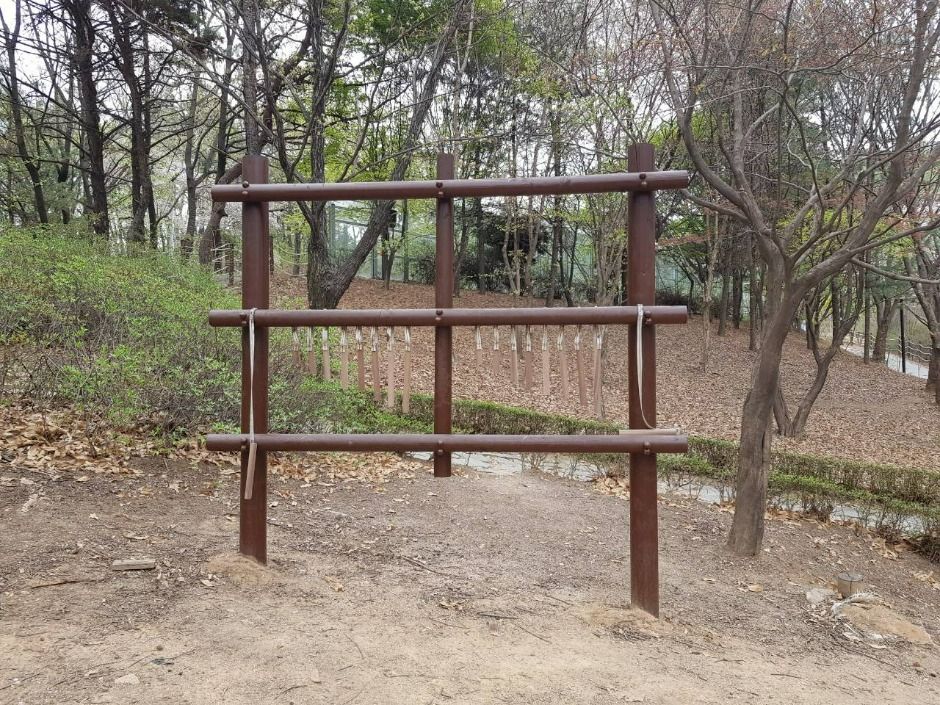 오목문화 유아숲체험원 여행 추천 - 로드트립