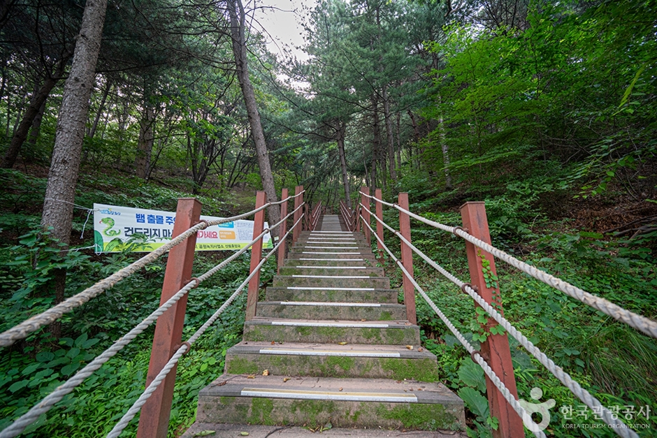 무봉산 여행 추천 - 로드트립