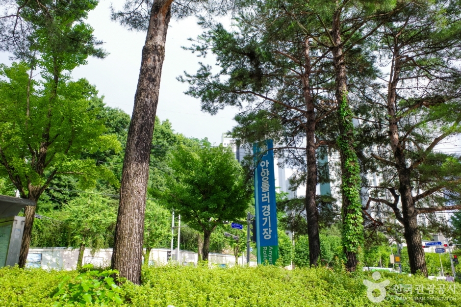 안양인라인롤러경기장 여행 추천 - 로드트립