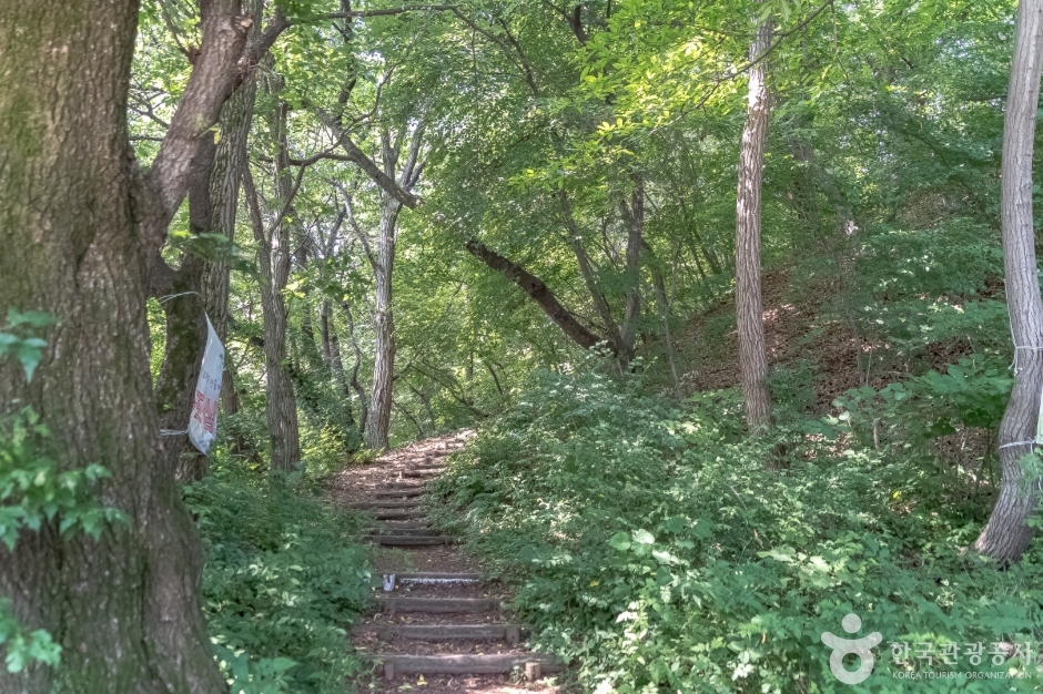 광교산체육공원 여행 추천 - 로드트립