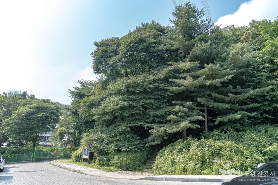 광교산체육공원 여행 추천 - 로드트립