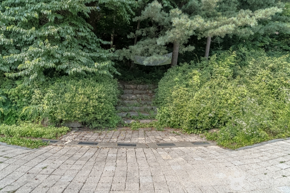 광교산체육공원 여행 추천 - 로드트립