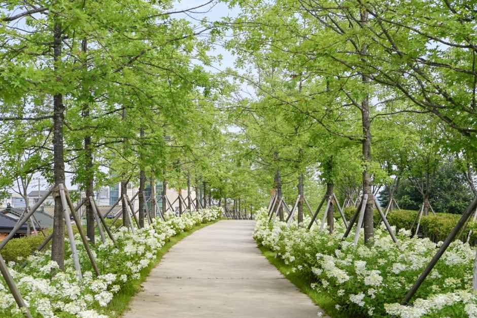 치악산 바람길숲 여행 추천 - 로드트립