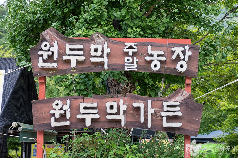 원두막주말농장 여행 추천 - 로드트립