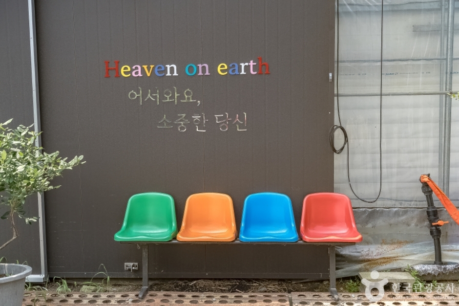 헤븐온어스 여행 추천 - 로드트립