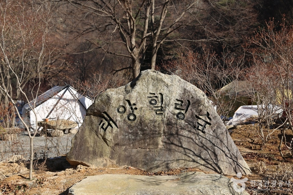 태양힐링숲 여행 추천 - 로드트립
