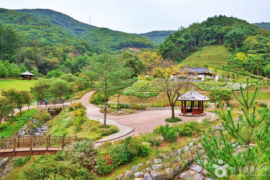 생거진천치유의숲 여행 추천 - 로드트립