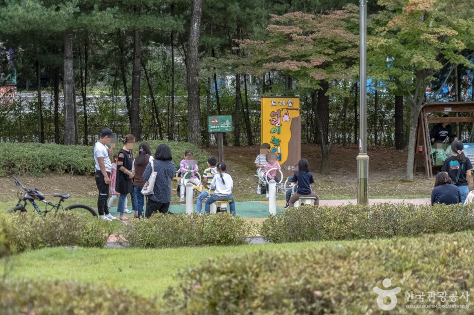 도시산림공원토리숲 여행 추천 - 로드트립