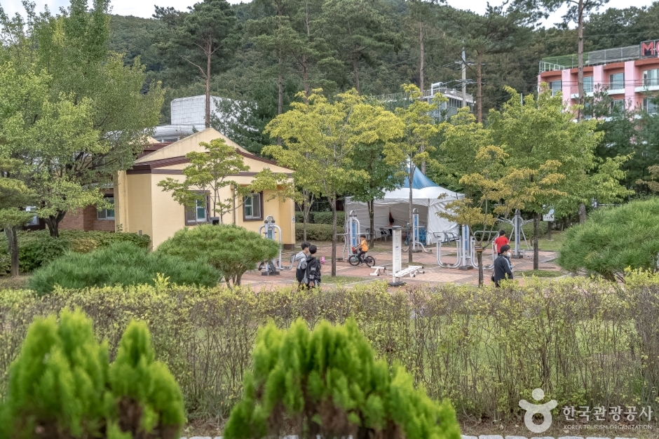 도시산림공원토리숲 여행 추천 - 로드트립