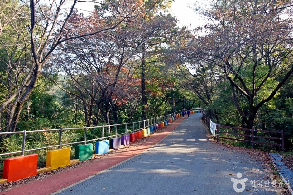 보문산 여행 추천 - 로드트립