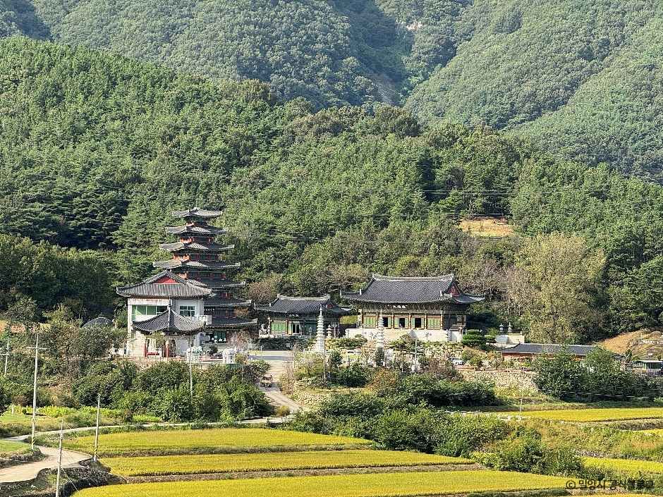 밀양 영산정사 여행 추천 - 로드트립