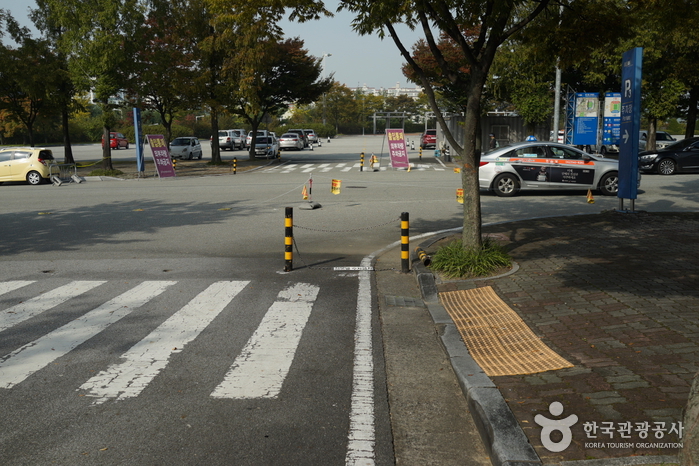 대전월드컵경기장 여행 추천 - 로드트립