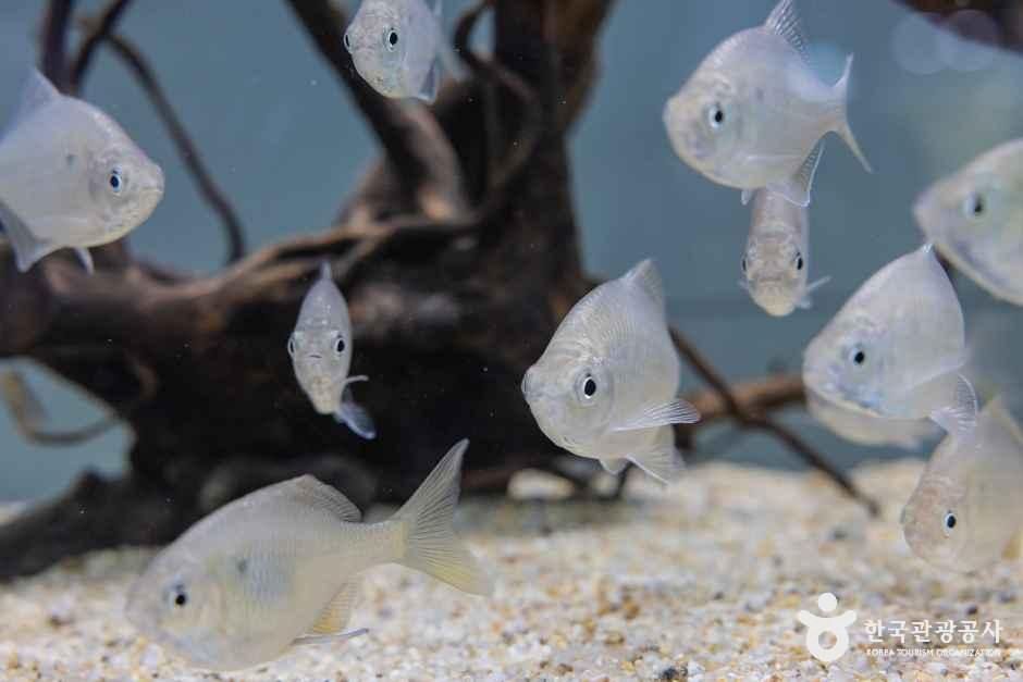 충북아쿠아리움 여행 추천 - 로드트립