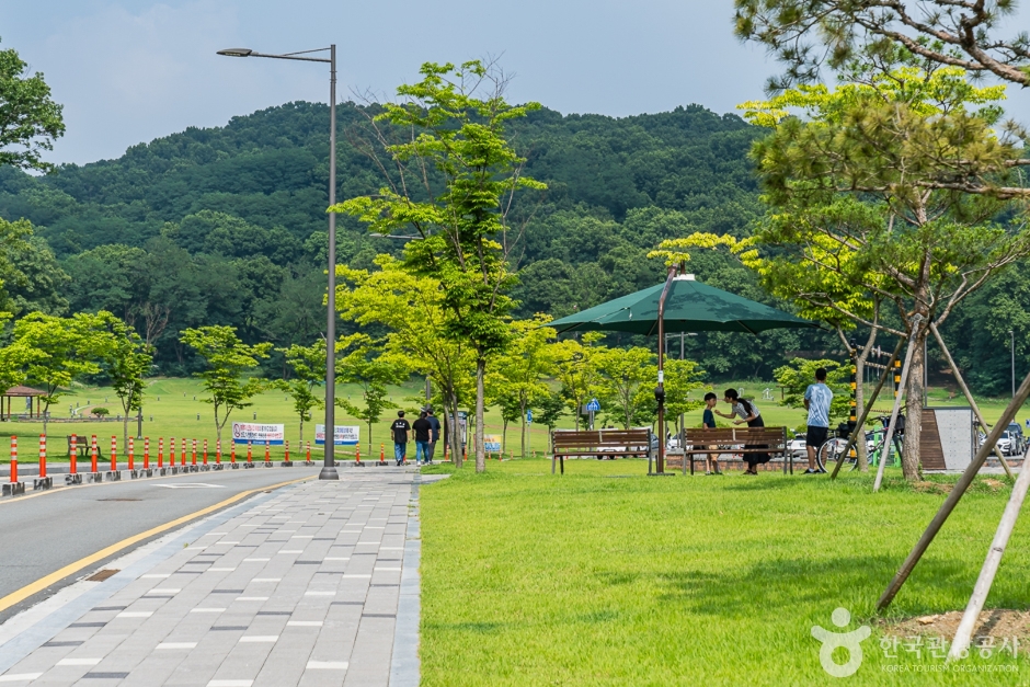 천안시민체육공원 여행 추천 - 로드트립