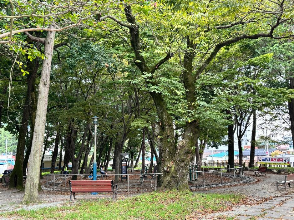 임내숲 어린이공원 여행 추천 - 로드트립