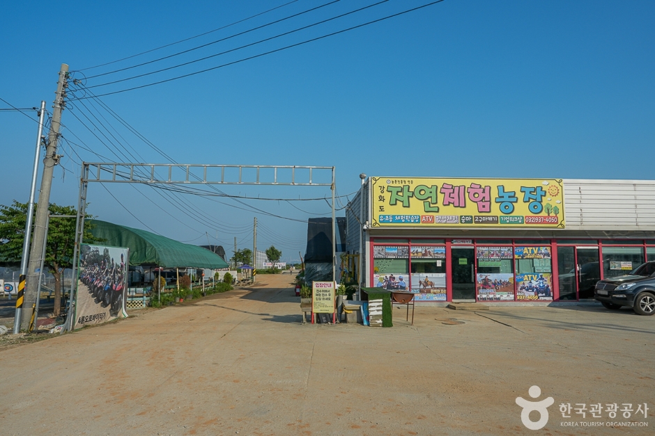 강화도 자연체험농장 여행 추천 - 로드트립