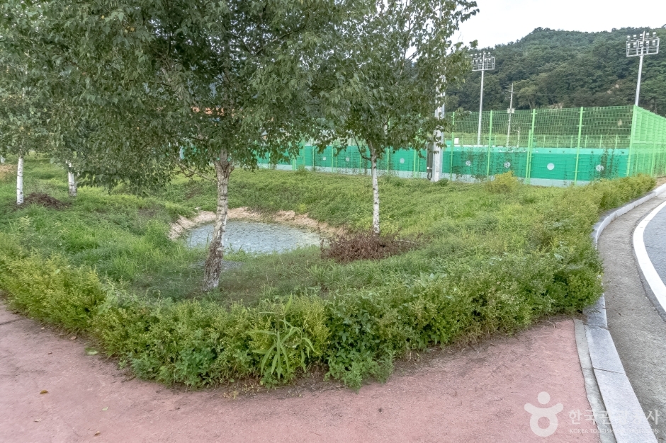 사내체육공원 여행 추천 - 로드트립