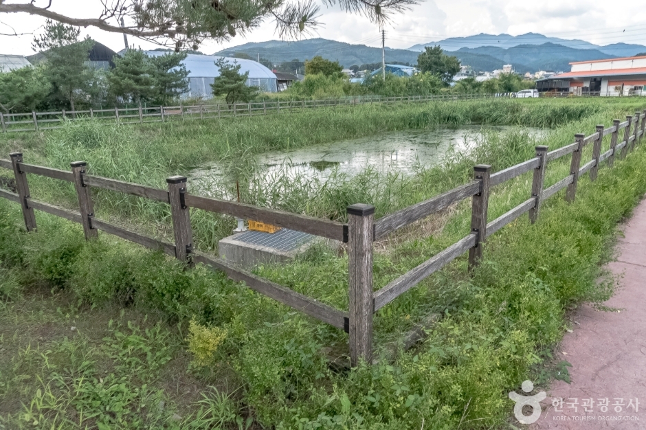사내체육공원 여행 추천 - 로드트립