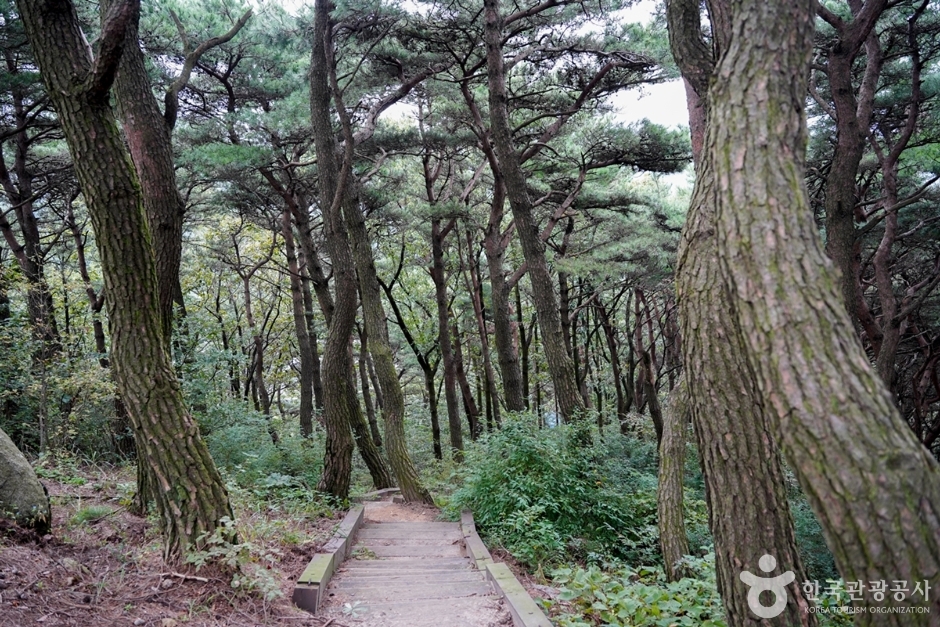 한티재 여행 추천 - 로드트립