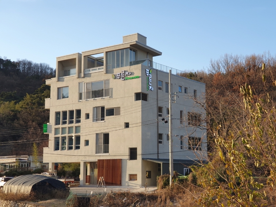 사단법인 푸른차문화연구원 여행 추천 - 로드트립