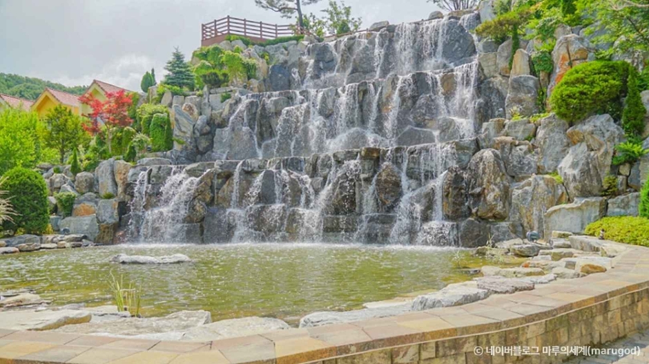 용인자작나무숲 여행 추천 - 로드트립
