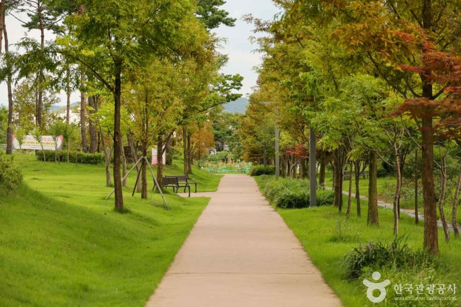 아름드리소공원 여행 추천 - 로드트립