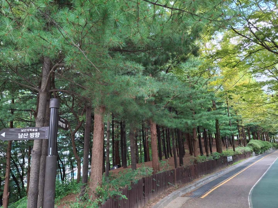 대현산배수지공원·대현산배수지공원 모노레일 여행 추천 - 로드트립