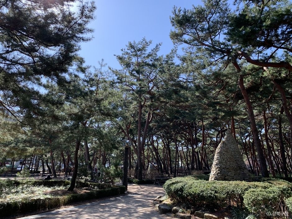 솔밭근린공원 여행 추천 - 로드트립