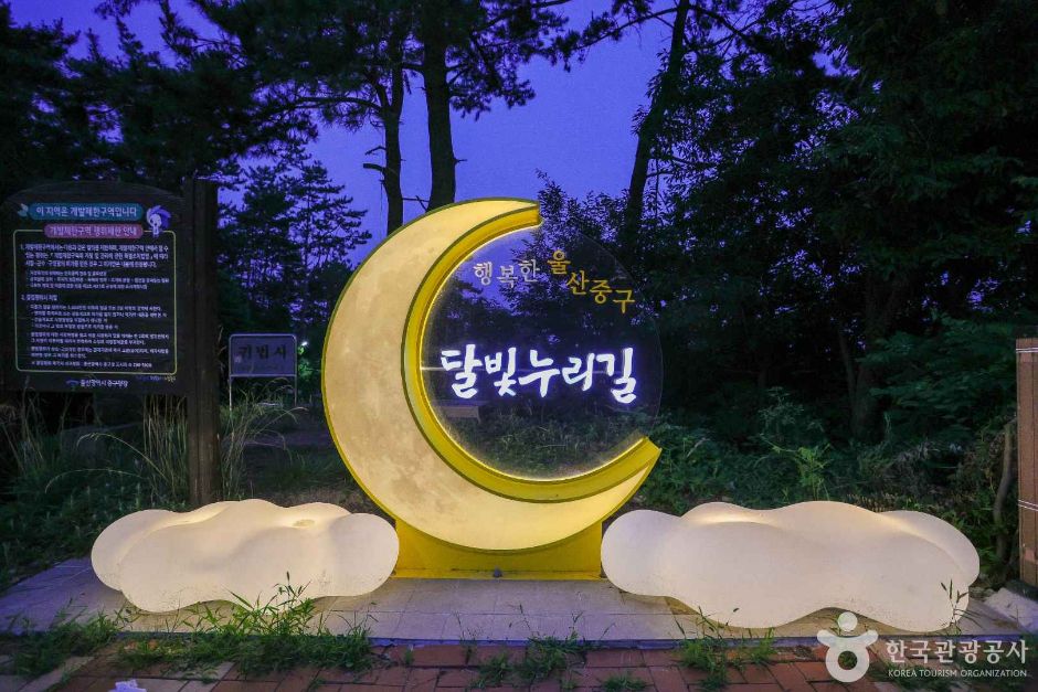 달빛야경누리길 여행 추천 - 로드트립