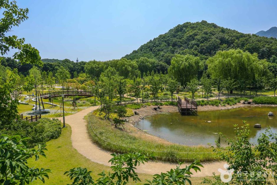 대구 대표 도시숲 여행 추천 - 로드트립