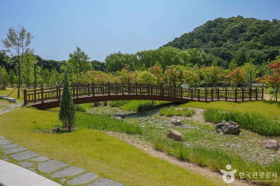 대구 대표 도시숲 여행 추천 - 로드트립