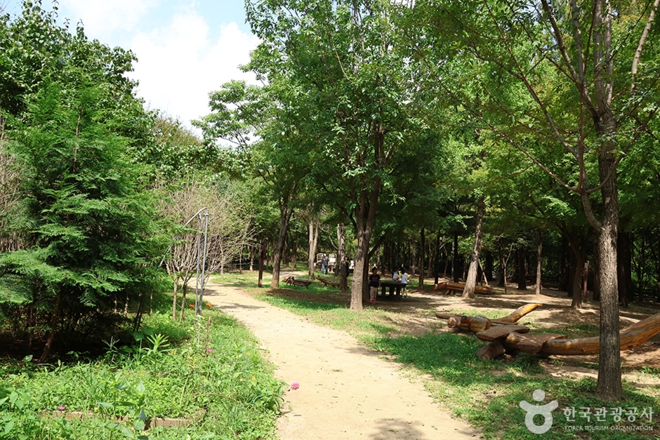 월드컵공원 유아숲체험원 여행 추천 - 로드트립