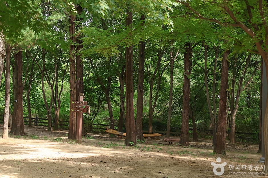 월드컵공원 유아숲체험원 여행 추천 - 로드트립