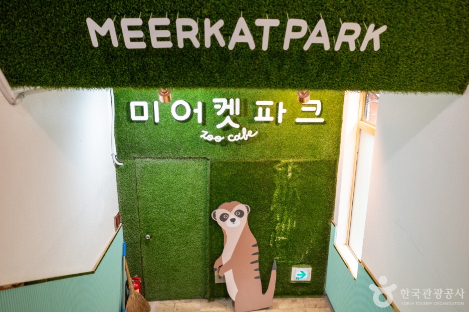 미어캣파크 여행 추천 - 로드트립