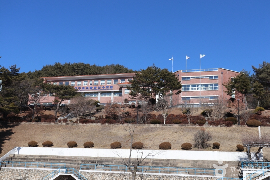대구교육팔공산수련원 여행 추천 - 로드트립