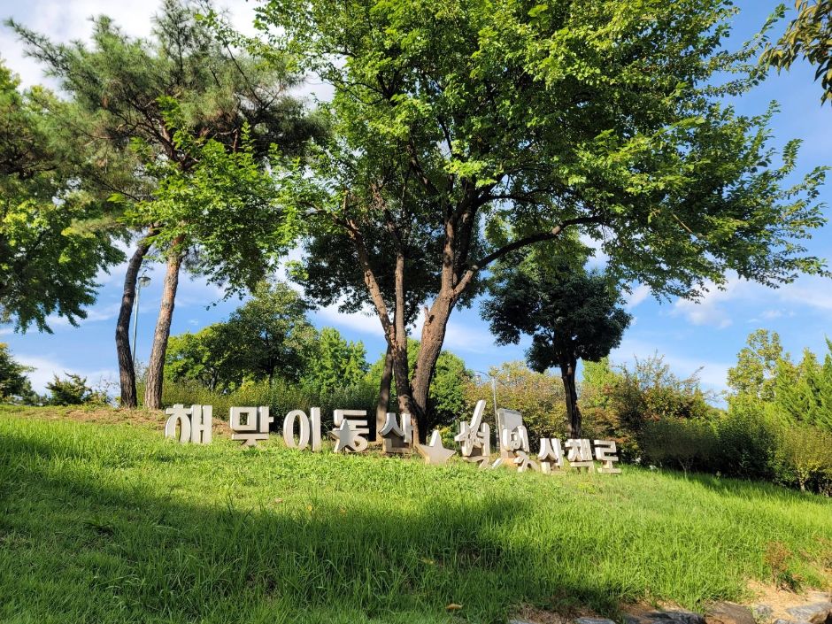 해맞이공원(대구) 여행 추천 - 로드트립