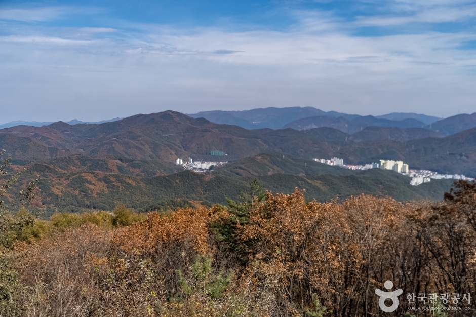 오투전망대 여행 추천 - 로드트립