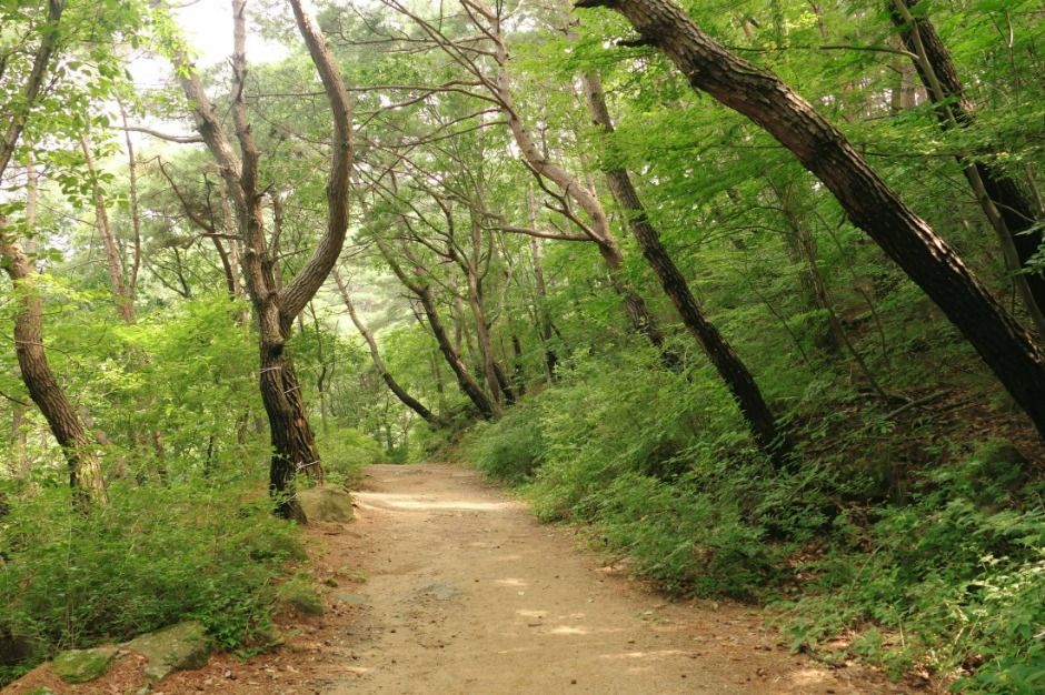 수태골 여행 추천 - 로드트립